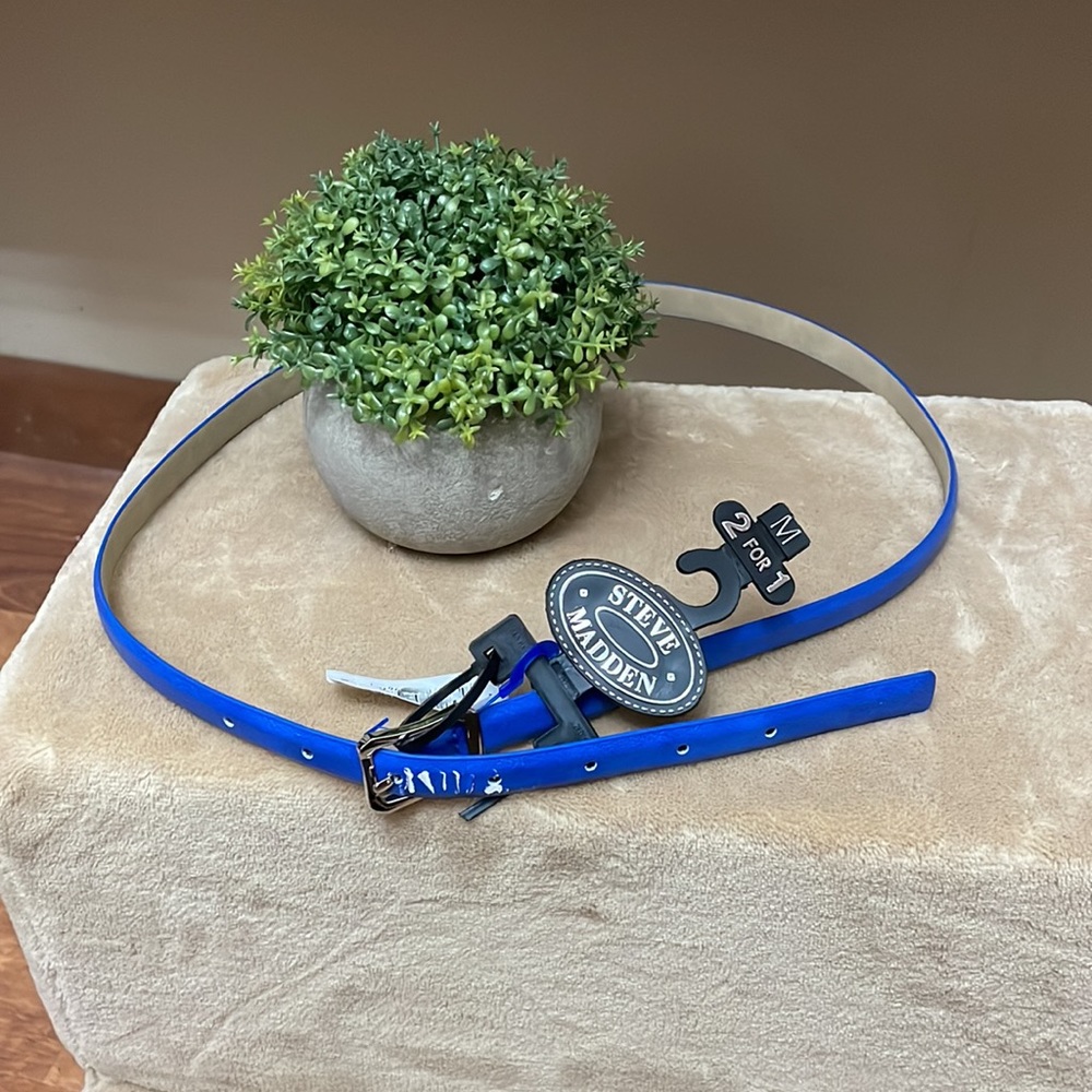 New Steve Madden medium blue belt